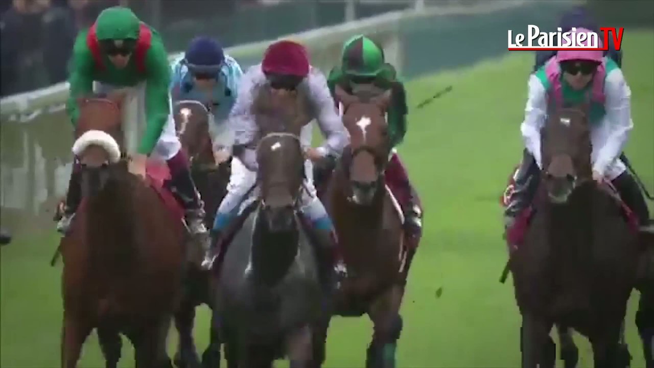 L'écurie du Parisien. Trêve vise un 3e Arc de Triomphe et nos pronostics pour Auteuil