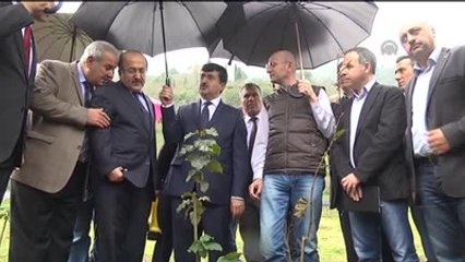 Fındıkta Verim ve Kaliteyi Artırma Projesi