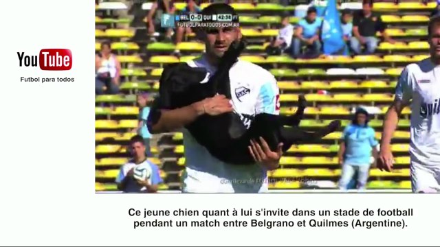 Un lion de mer s'énerve contre des pêcheurs - Le Zapping insolite