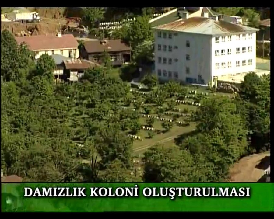 Ana arı üretim çiftliği