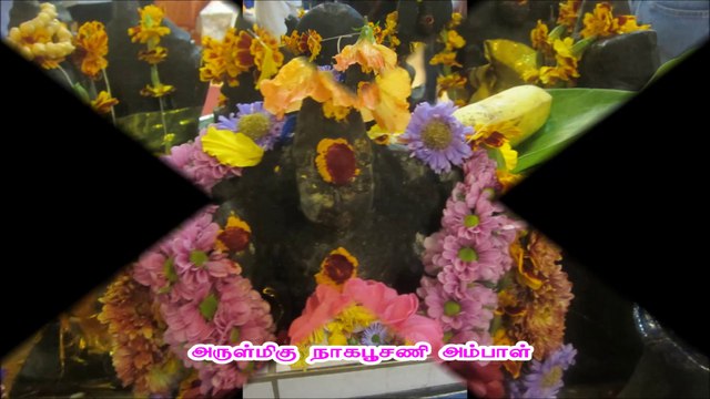 Sri nagapoosani ampal krefeld. Pusai photoschow ஸ்ரீ நாகபூசணி அம்பாள் சனிஸ்வரபூசை