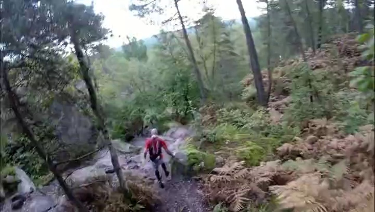 25 bosses FONTAINEBLEAU