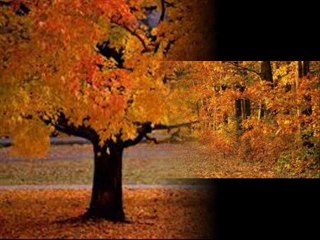 Aşık Sefai-Dağlar İçinde