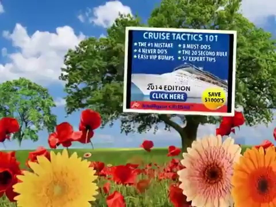 Intelligent Cruiser Tips How To Save Money