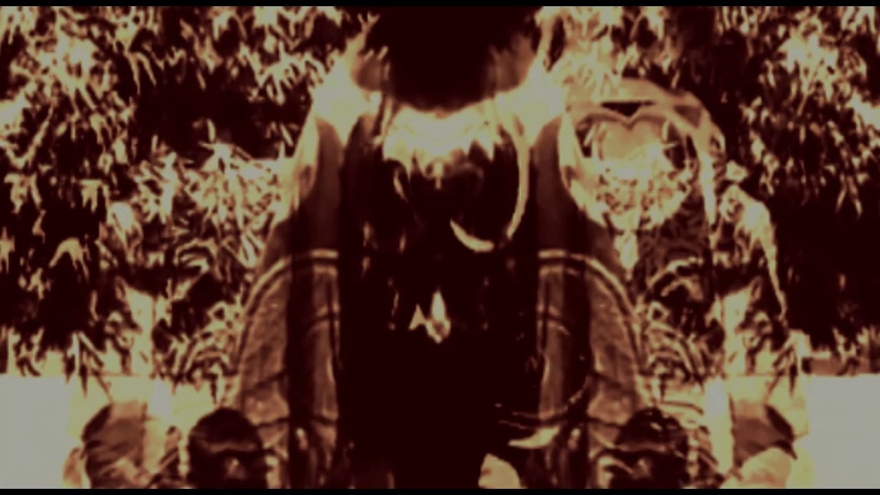 Sensorman - rüsseltier