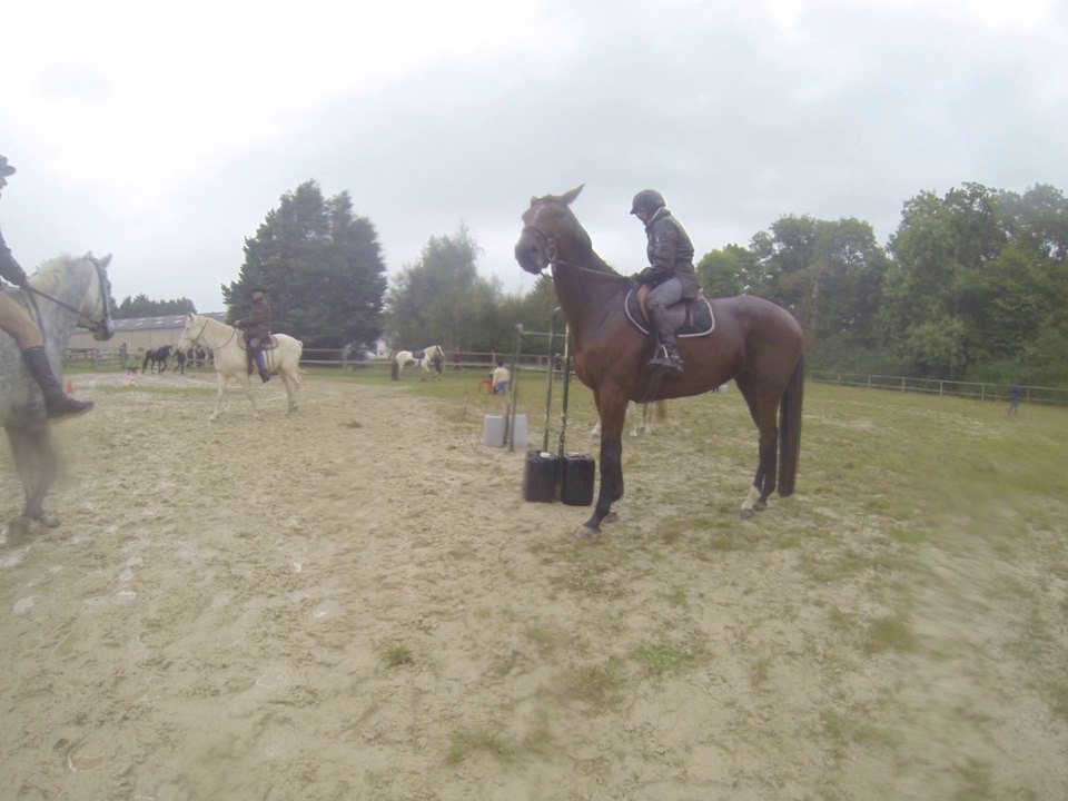 2014.10.12.k.trenc