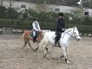 Notre Popo... au trop...au galop....