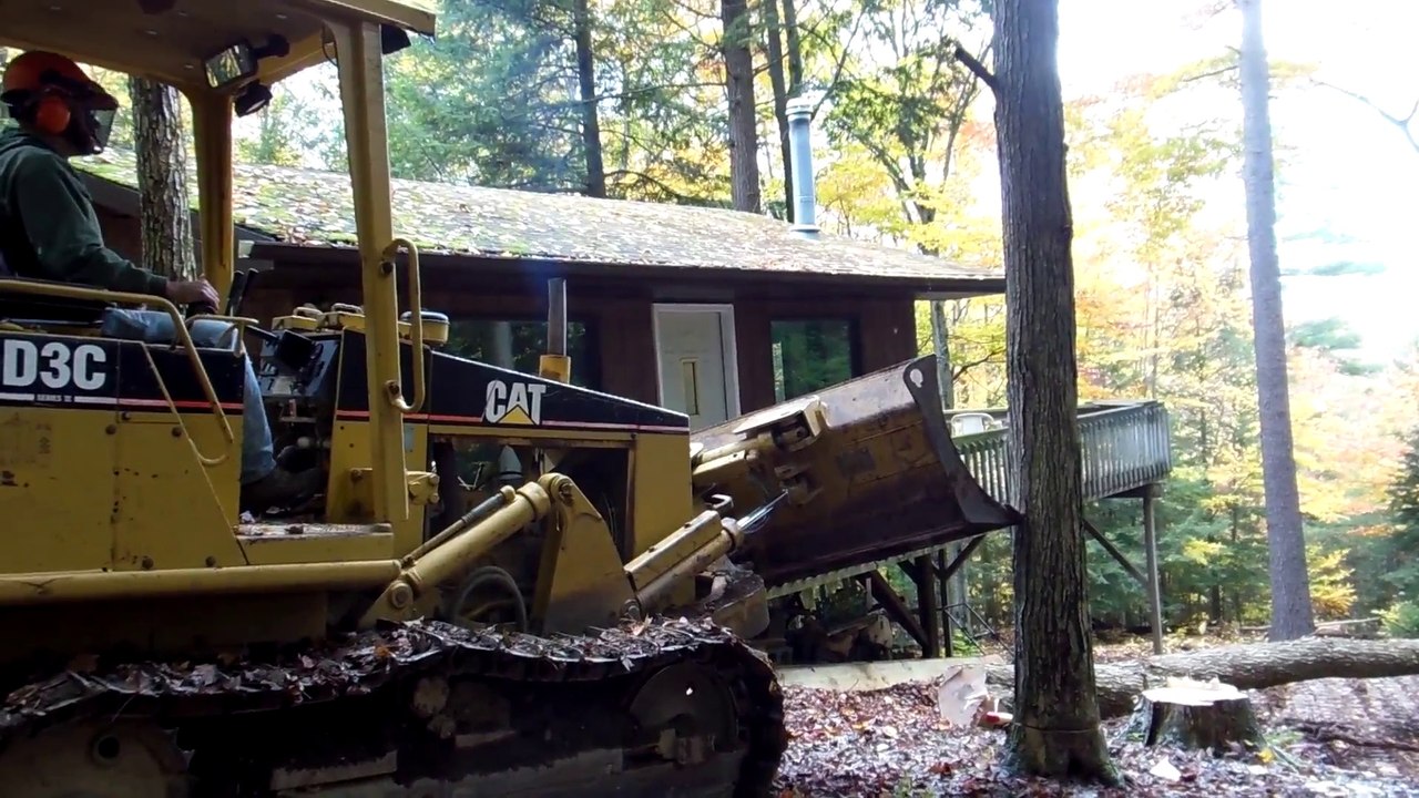 Go Dave Go... Cutting a Maple tree