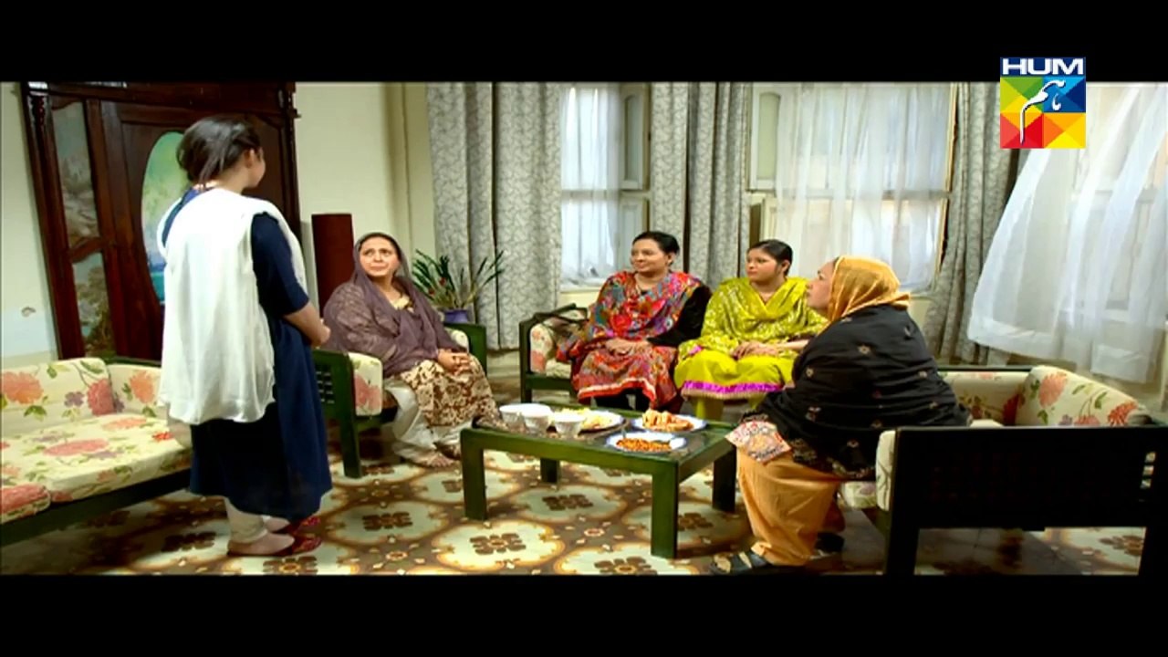 Mere Mehrban Episode 22 HUM TV Drama Full Episode