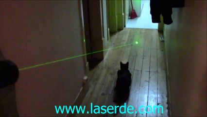 laserpointer