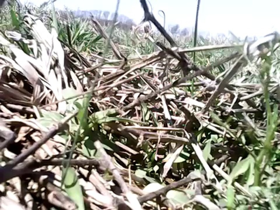 RCPowers F-15 Eagle high altitude test