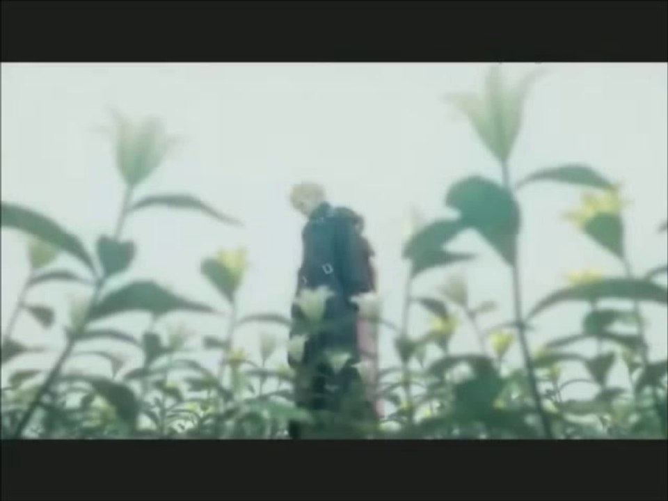 AMV Without you