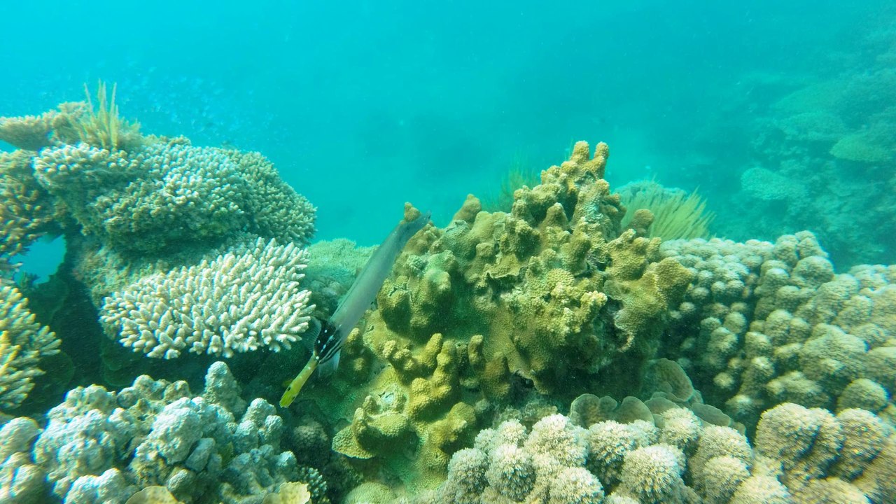 Les Cabanons à Mayotte