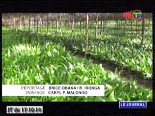 Télé-Congo : Journal du 17 octobre 2014 -  Partie 1