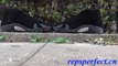 Authentic Air Jordan 14 Black Suede Ferrari Shoes Review From repsperfect.cn