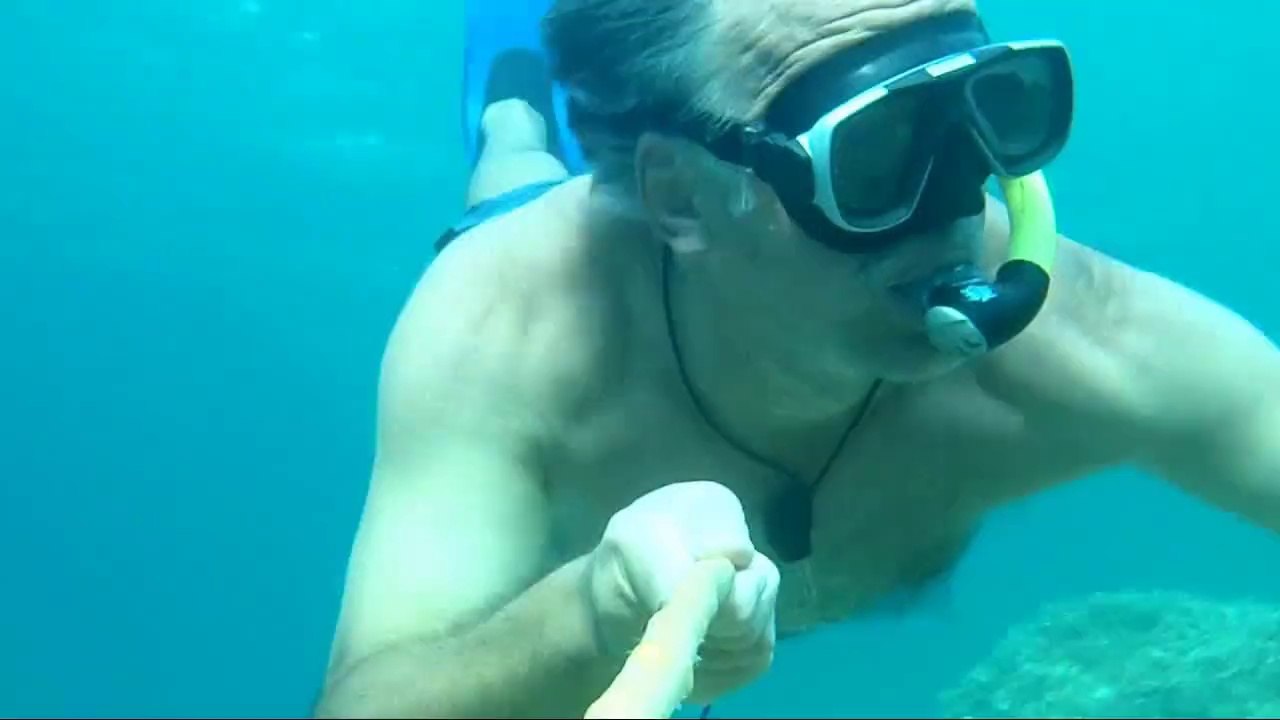 CORSE : 5 mètres sous la Mer