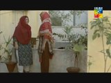 Mitthu Aur Aapa Episode 13 HUM TV Drama