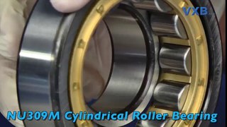 Cylindrical Roller Bearing - VXB