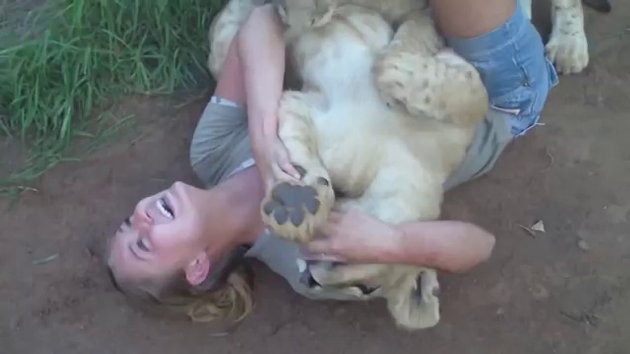 A young lady is getting mauled by two young lions