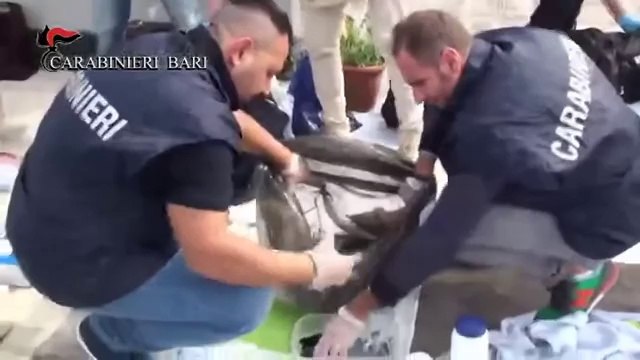 Bari - Sequestrati arsenale e 10 chili di cocaina, un arresto (17.10.14)