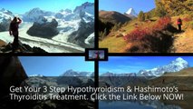 Hypothyroidism Revolution - Review and getting started with   the Hypothyroidism Revolution Product