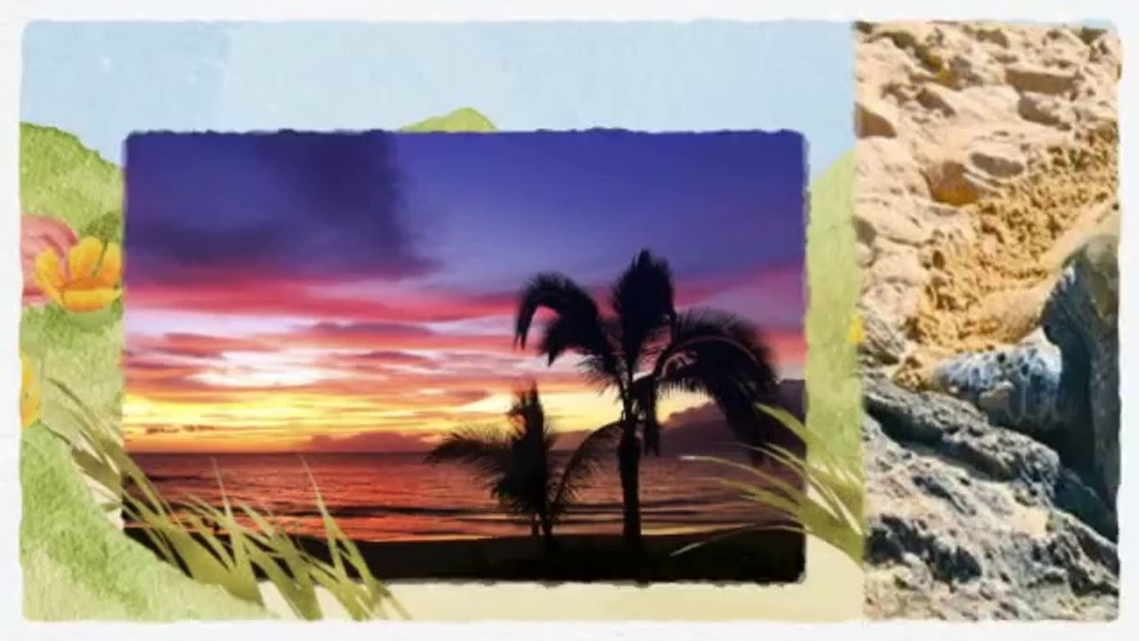 Get the Best Travel Deals to Hawaii