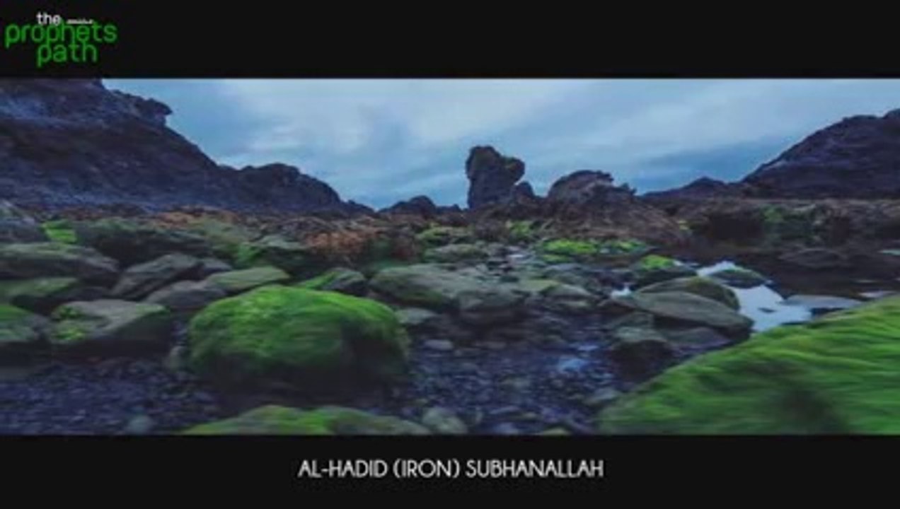 The-Earth----Amazing-Miracl
