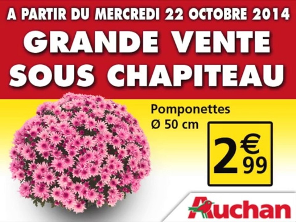 AUCHAN_CHAPITEAU_SEM43_2014