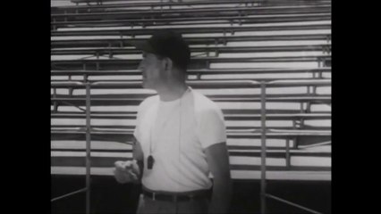 The Checkers: Don't Stop Dan