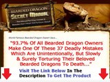 Bearded Dragon Secret Manual + DISCOUNT + BONUS