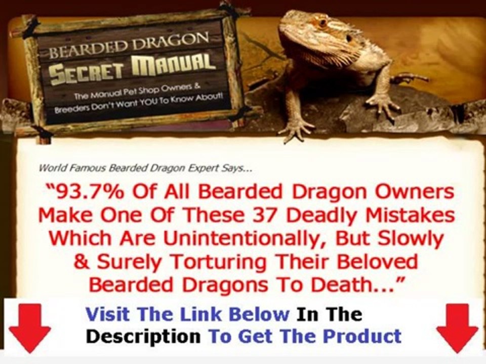 Bearded Dragon Secret Manual + DISCOUNT + BONUS