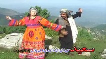 Pashto Album Nawe Majnon P1