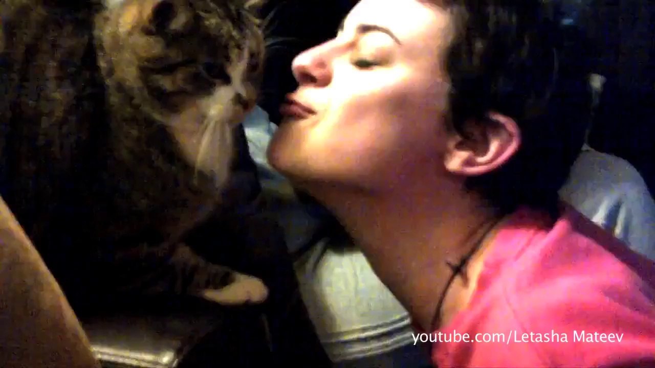 Chats et des chiens n'aiment pas les calins