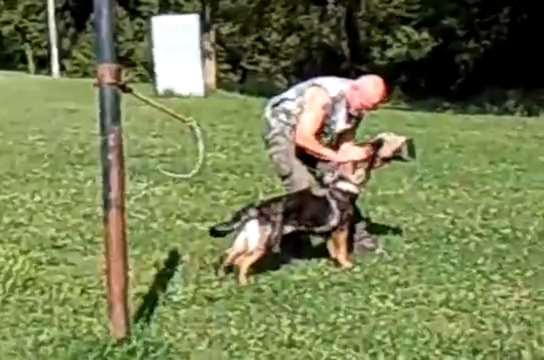 Labita Mario e Max -mesi 5 (Clickertraining)