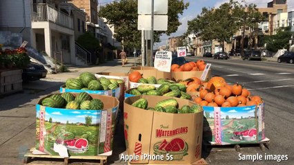 Apple iPhone 6 vs Apple iPhone 5s_2