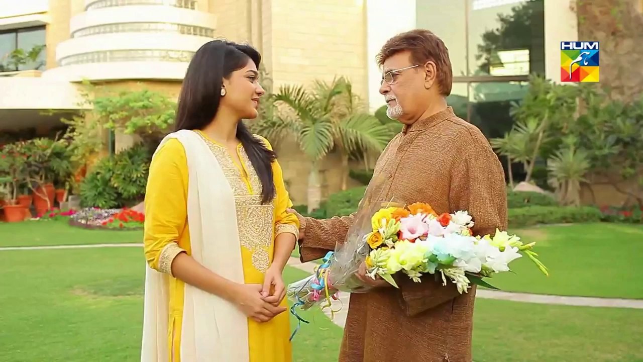 Dil e muzter Episode 20 Hum Tv DramaHD
