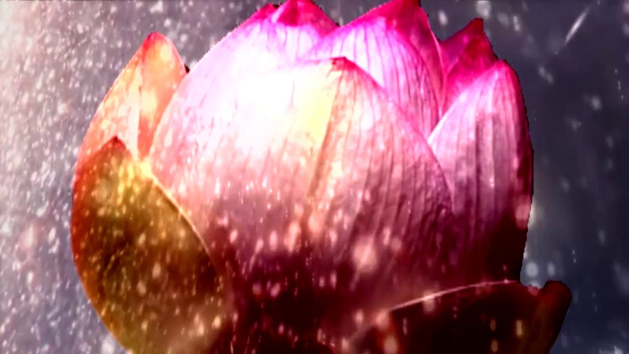 notes on the ineffable top