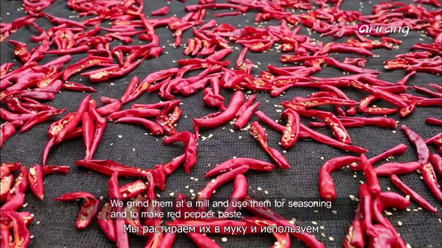 In Frame (Russian) Ep12 In search of incredible UNESCO World Heritages in Korea!