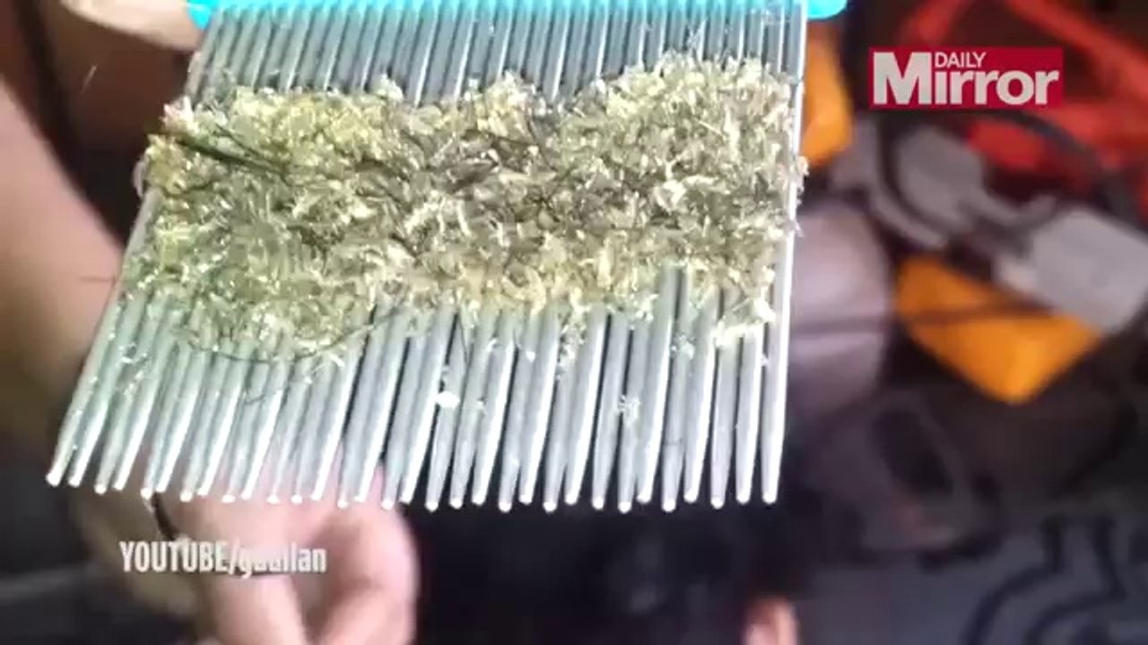 Bit Temizliği