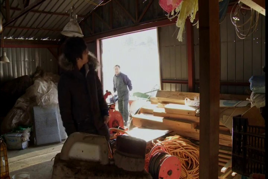 s.2014-DVbra_clip0