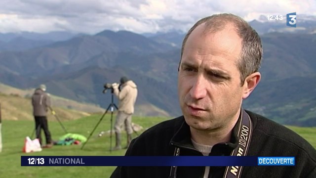 Le trajet des oiseaux migrateurs modifié dans les Pyrénées