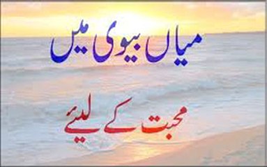 Miya Biwi Mein Mohabbat Ke Liye