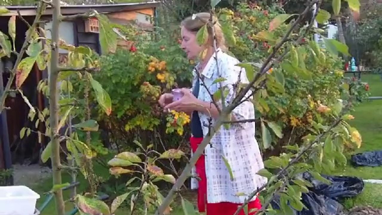 Jesienny Wypał 2014