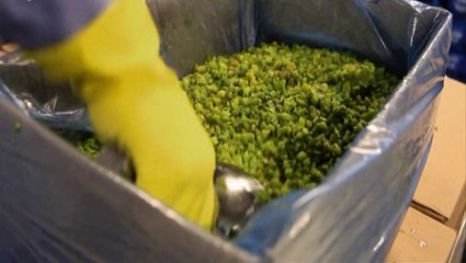 Salsa chile habanero