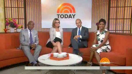 Système anti-moustiques efficace