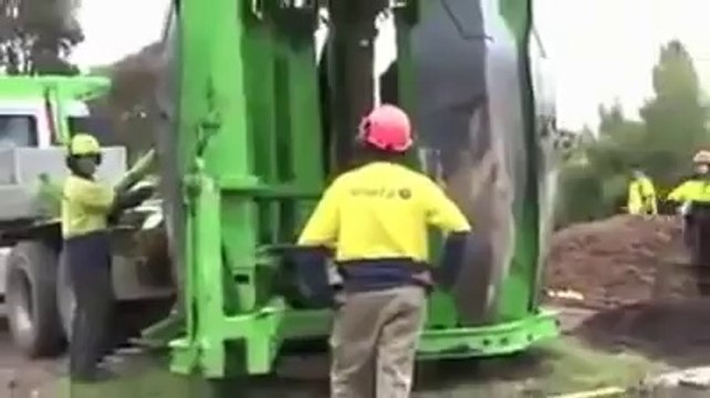 -حیرت انگیز دنیا کی حیرت انگیز تصاویر