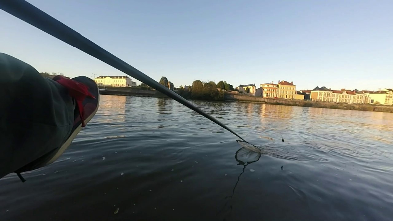 feeder en seine