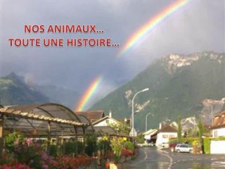 NOS ANIMAUX... TOUTE UNE HISTOIRE...