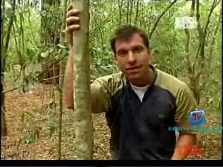 Be The Creature 18th October 2014 Video Watch Online pt1