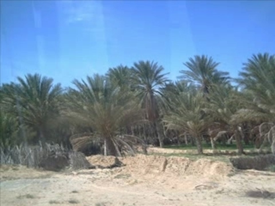 Vacance en Tunisie avec le consula touns